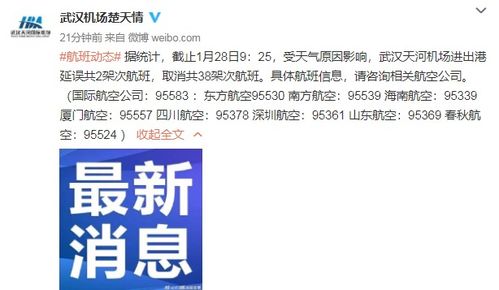 受天氣影響,武漢天河機場部分航班取消